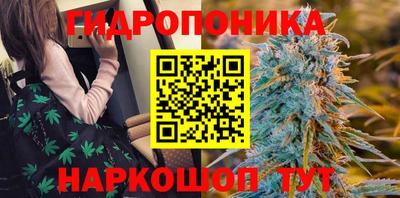 прущая мука Гусев
