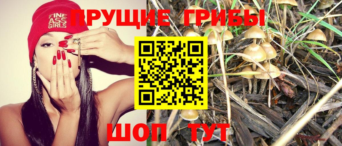 хочу наркоту  Галлюциногенные грибы Magic Shrooms  Псилоцибиновые грибы Psilocybine cubensis  Вход с VPN  Каменка 