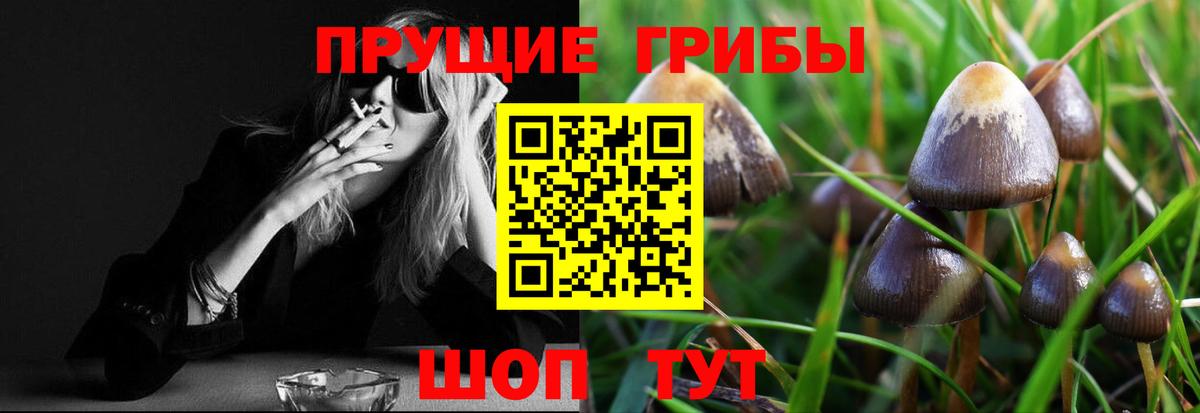 Галлюциногенные грибы Cubensis Каменка